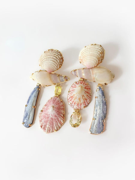 Maidens Cove: Citrine and Natural Shells from Maidens Cove Cape Town