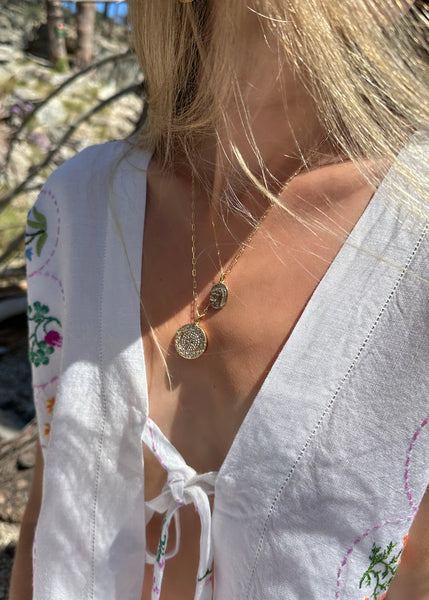 Horse Medallion Pendant and 9ct yg chain
