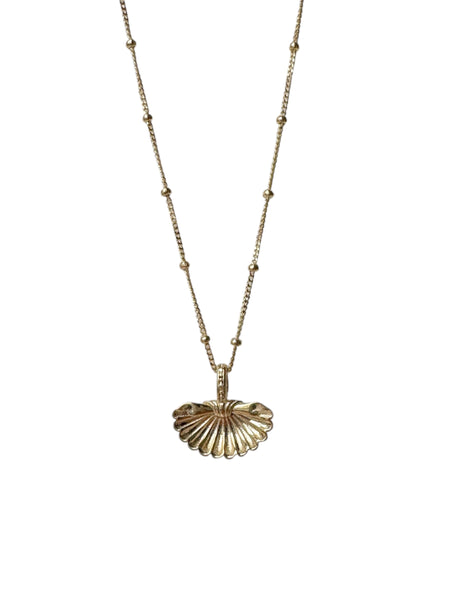 9ct Gold Satelite Curb Link Chain with 9ct Gold Shell Pendant